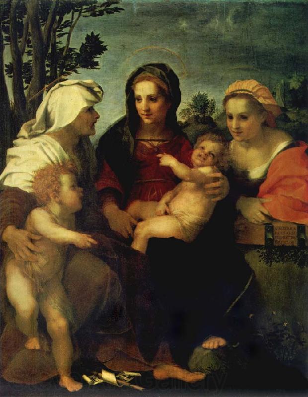 Andrea del Sarto Madonna and child with Sts Catherine and Elizabeth,and St John the Baptist Spain oil painting art